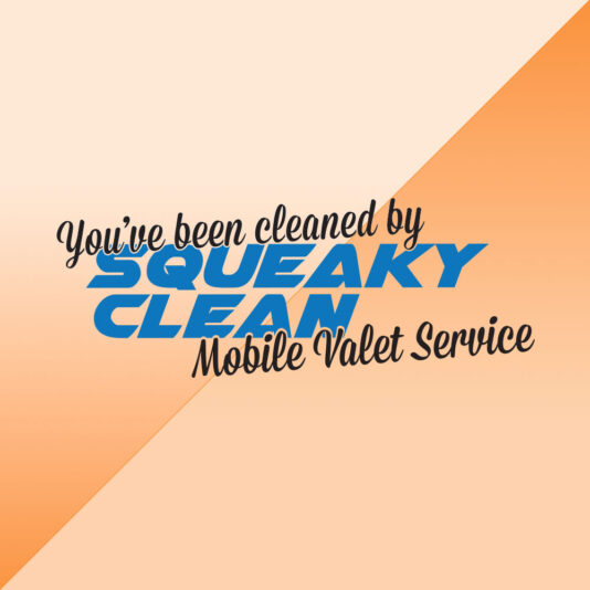 clean-logo